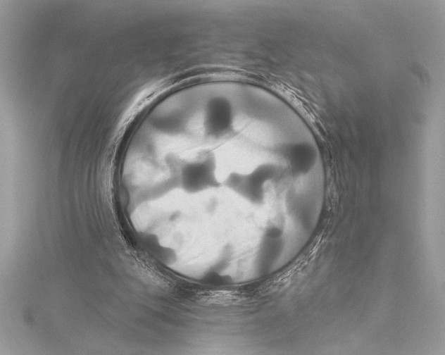 X0000115330151200911301534