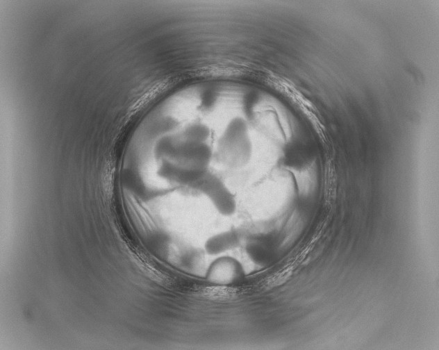 X0000115330153200911301534