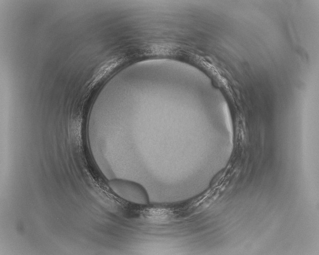 X0000115330154200911301534