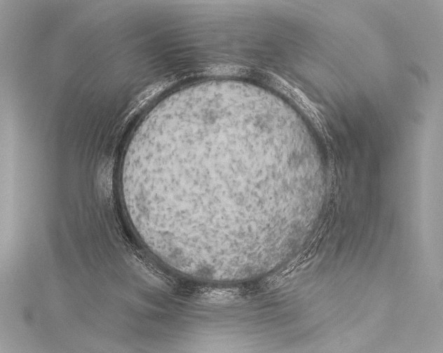 X0000115330155200911301534