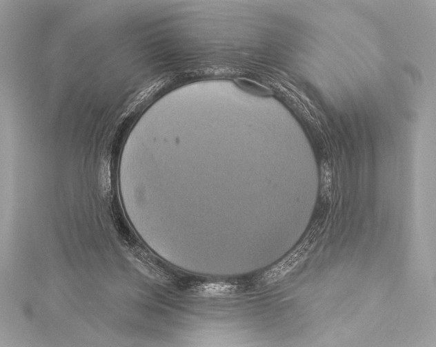 X0000115330158200911301534