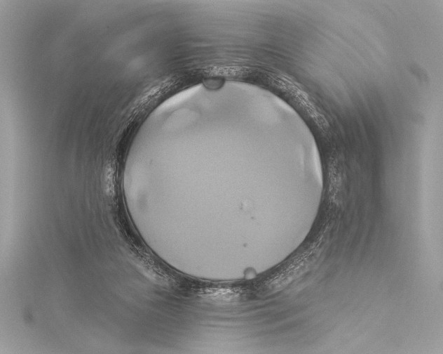 X0000115330161200911301534