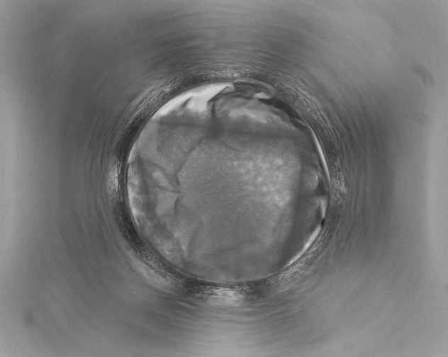 X0000115330166200911301534