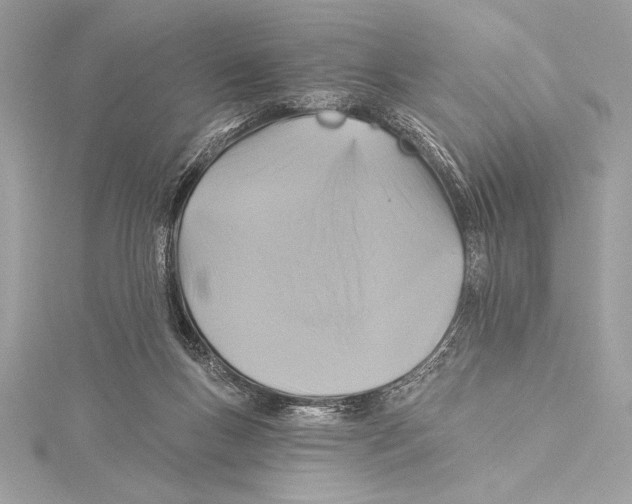 X0000115330167200911301534