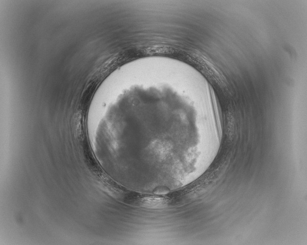 X0000115330169200911301534