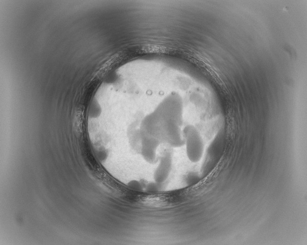 X0000115330171200911301534