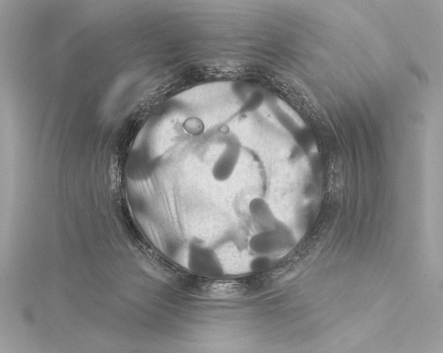 X0000115330173200911301534