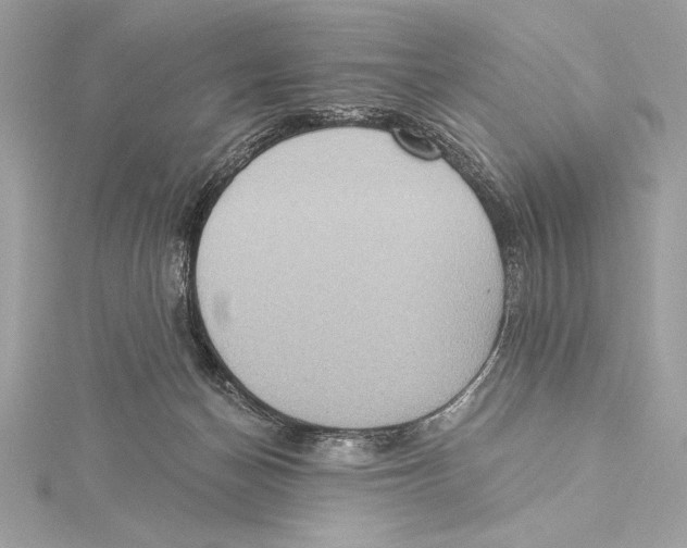 X0000115330174200911301534