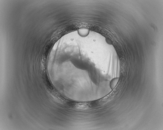 X0000115330175200911301534