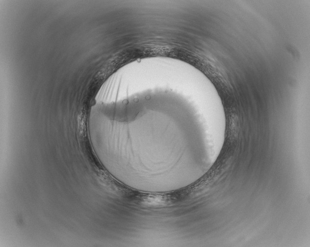 X0000115330177200911301534