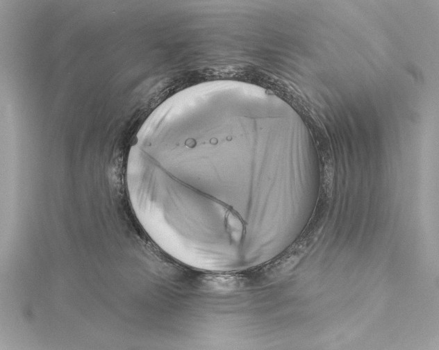 X0000115330181200911301534