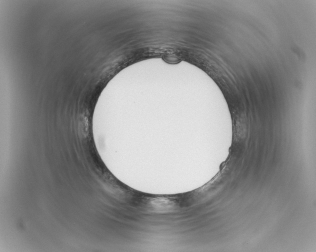 X0000115330183200911301534