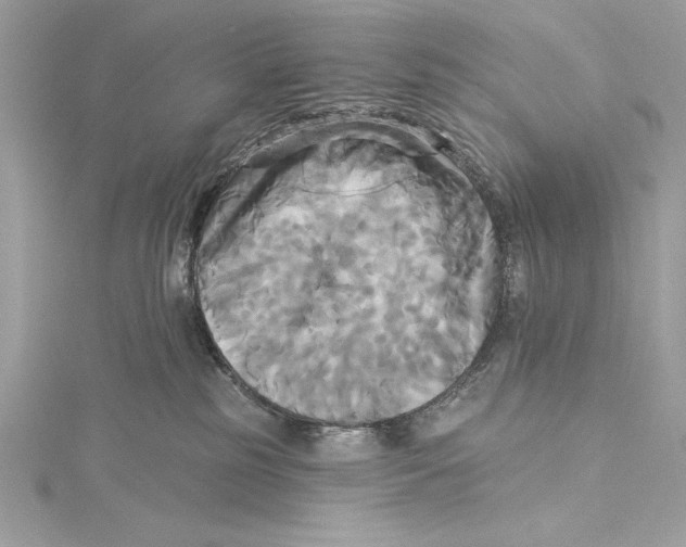 X0000115330185200911301535