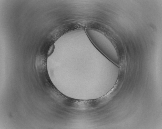 X0000115330186200911301535