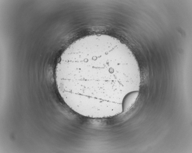 X0000115330187200911301535