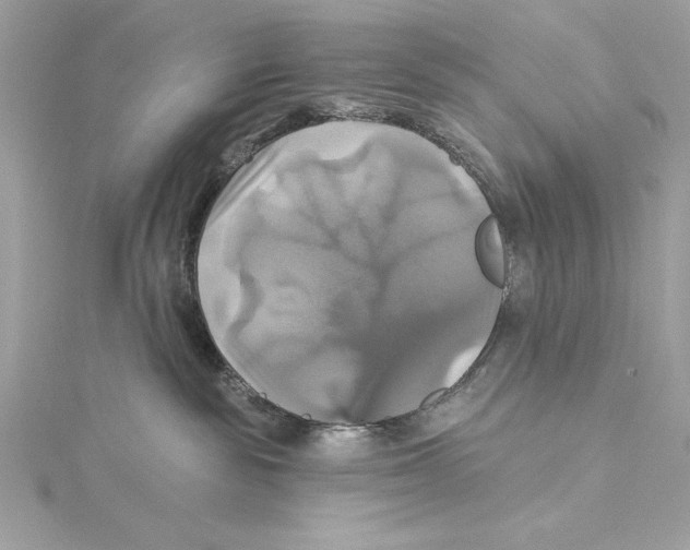 X0000115330189200911301535