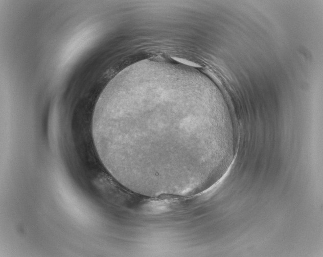 X0000115330190200911301535