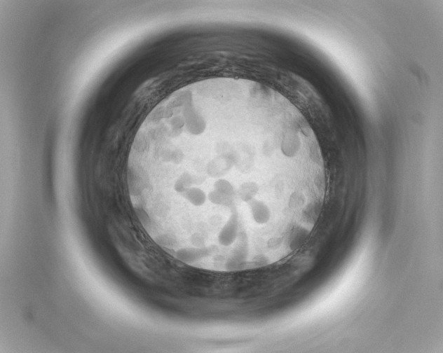 X0000115330191200911301535