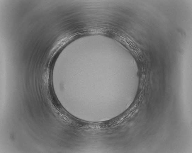 X0000115330194200911301534