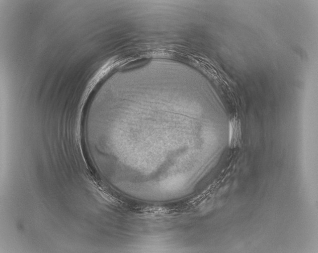 X0000115330195200911301534