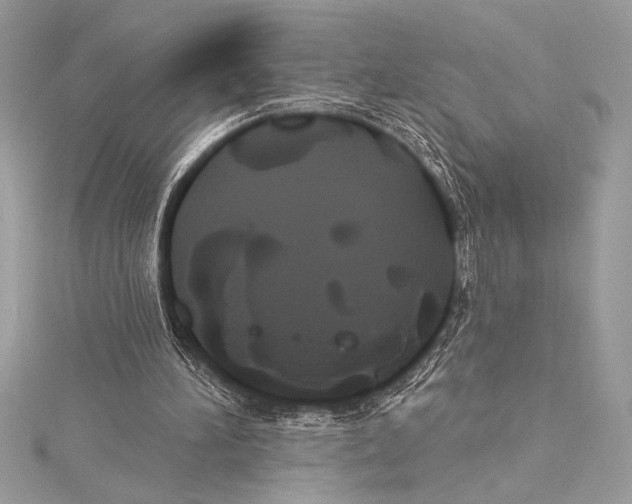 X0000115330196200911301534