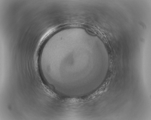 X0000115330197200911301534