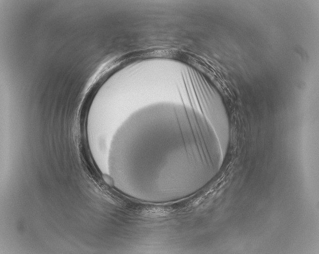 X0000115330198200911301534