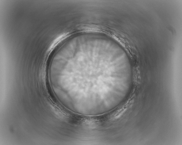 X0000115330199200911301534