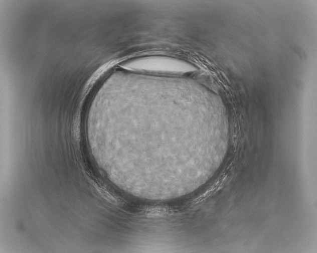 X0000115330200200911301534