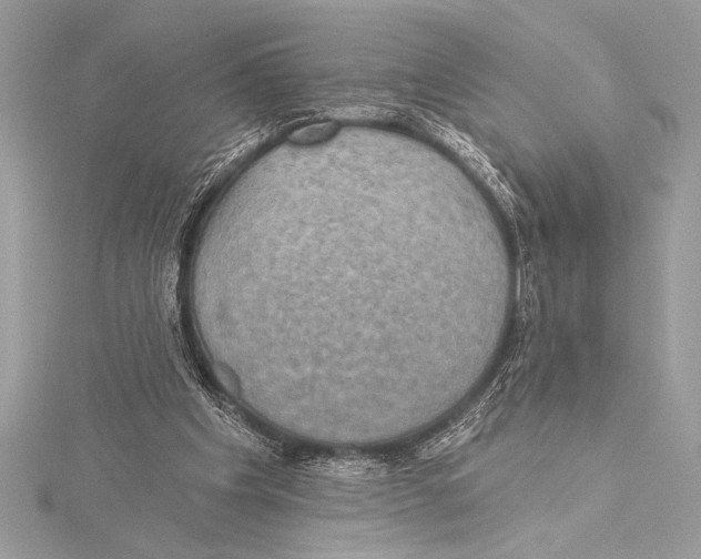 X0000115330201200911301534