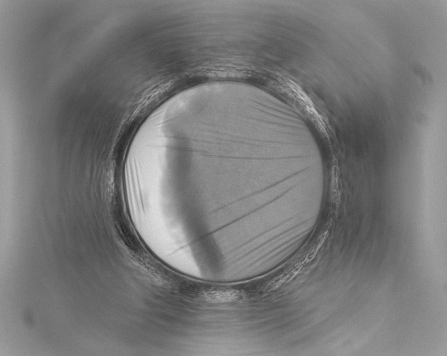 X0000115330202200911301534