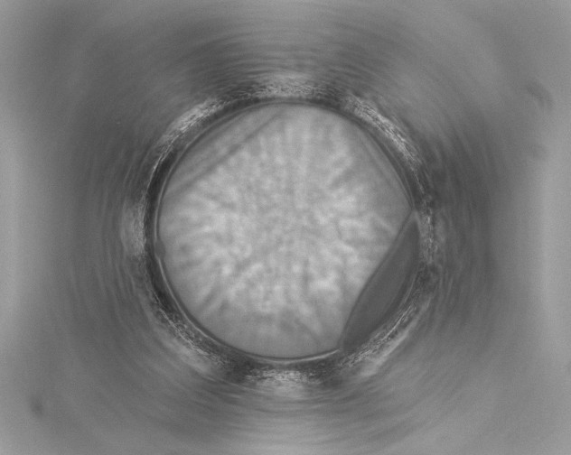 X0000115330203200911301534