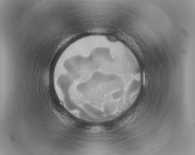 X0000115330204200911301534