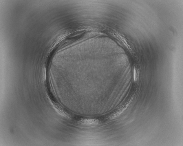 X0000115330205200911301534