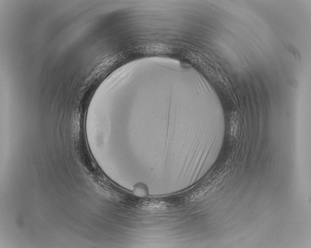 X0000115330206200911301534