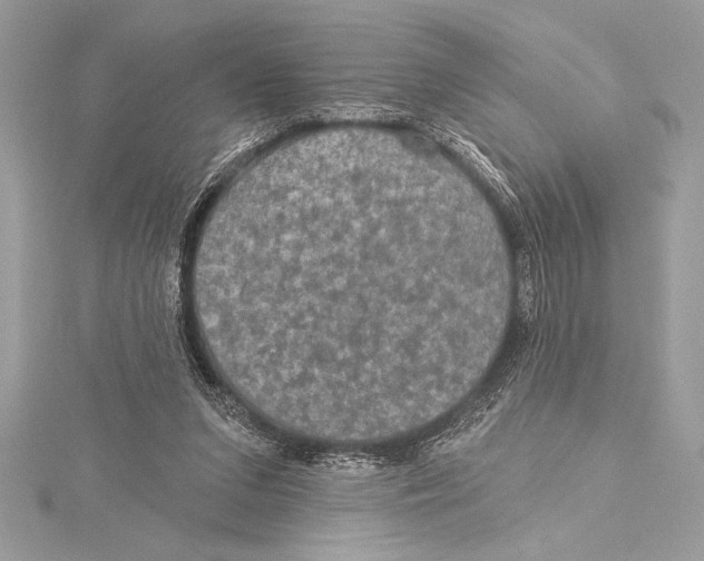 X0000115330207200911301534