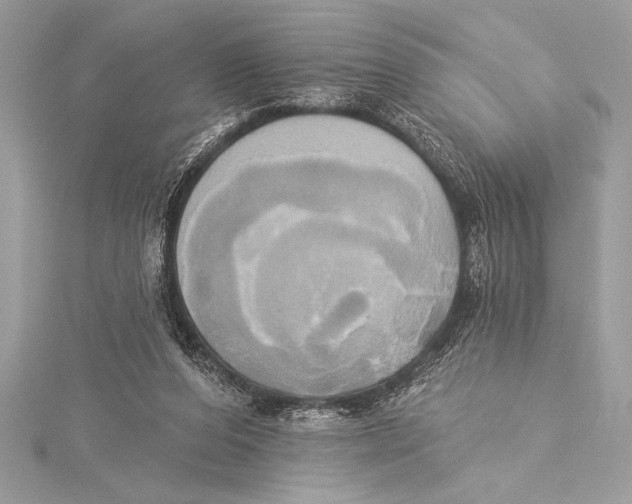 X0000115330208200911301534