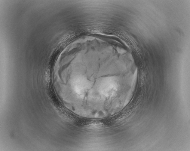 X0000115330210200911301534