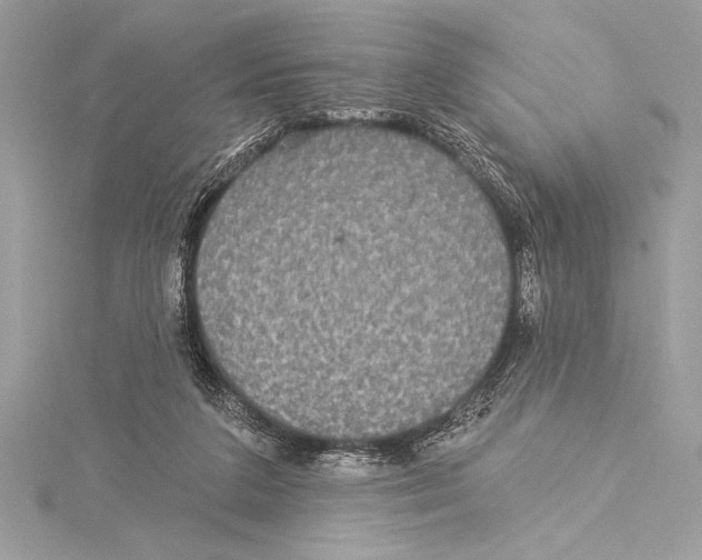 X0000115330211200911301534