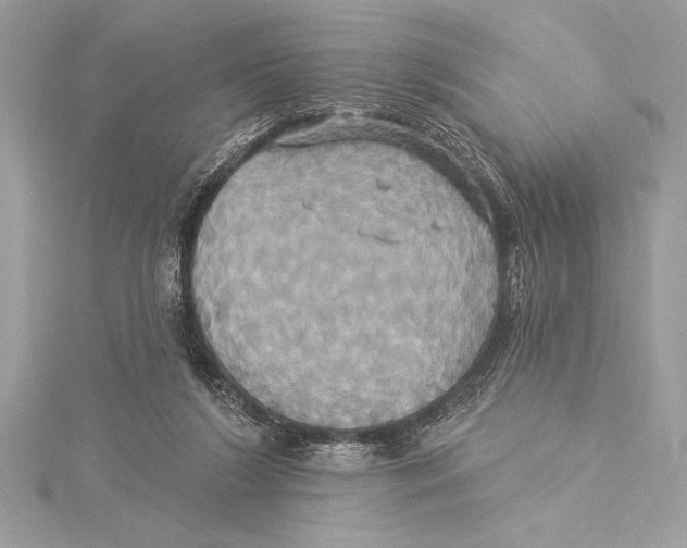 X0000115330212200911301534