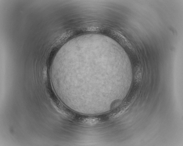 X0000115330213200911301534