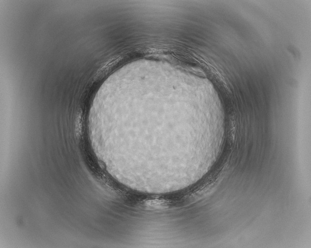 X0000115330216200911301534