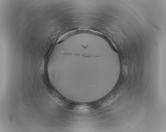 X0000115330219200911301534