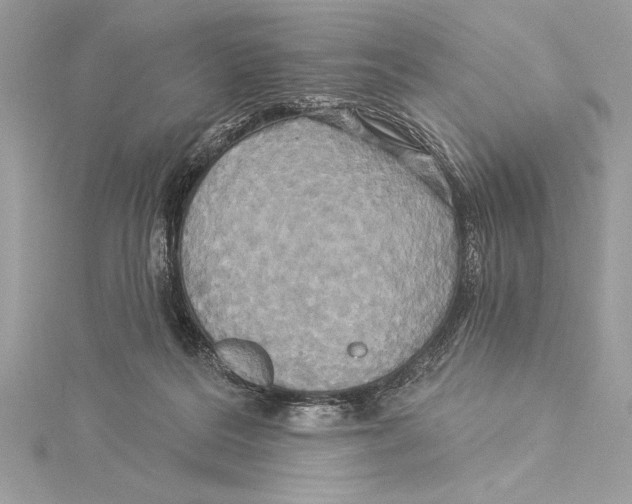 X0000115330220200911301534