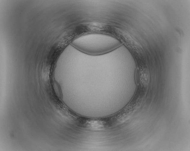 X0000115330221200911301534