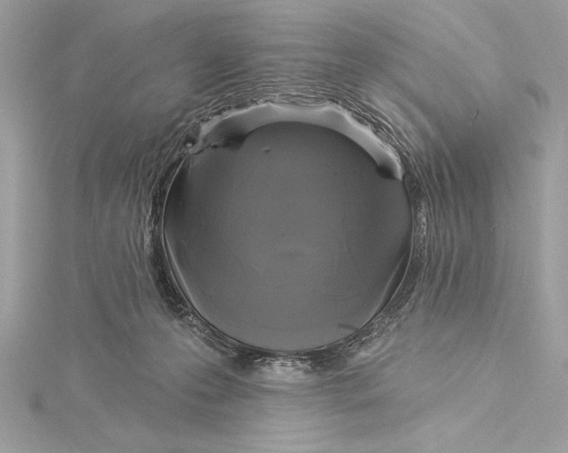 X0000115330223200911301534