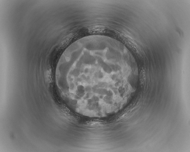 X0000115330224200911301534