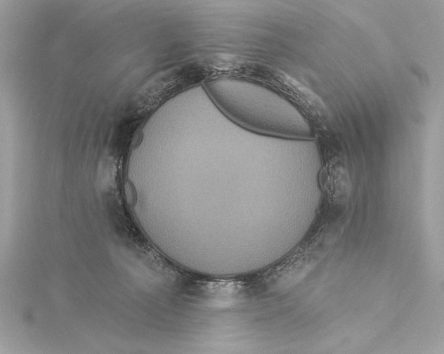 X0000115330225200911301534