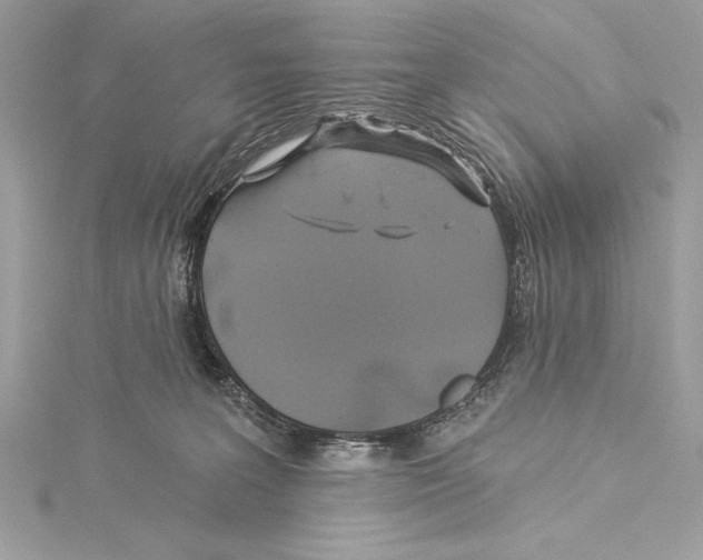 X0000115330227200911301534