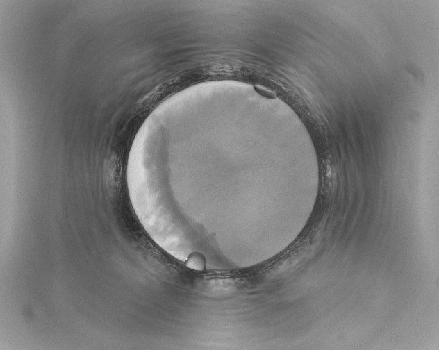 X0000115330228200911301534